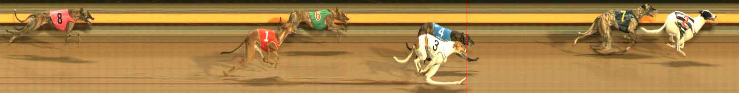 Photo finish for Ballarat Race 13