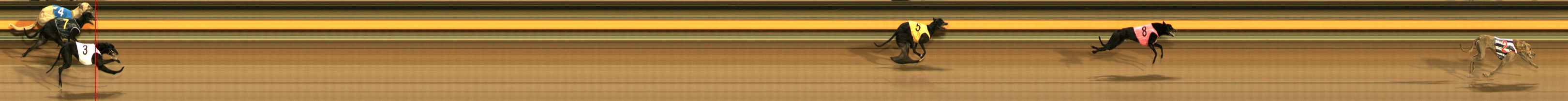 Photo finish for Ballarat Race 1