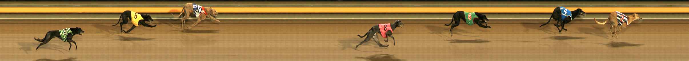 Photo finish for Ballarat Race 8