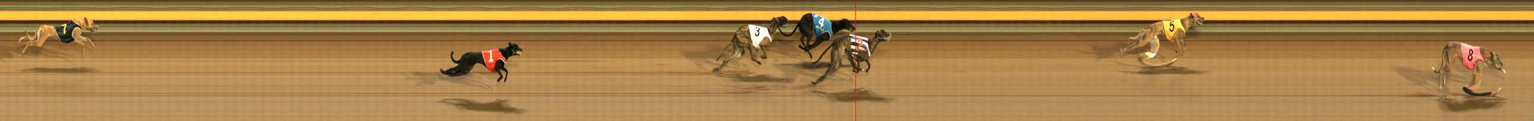 Photo finish for Ballarat Race 11