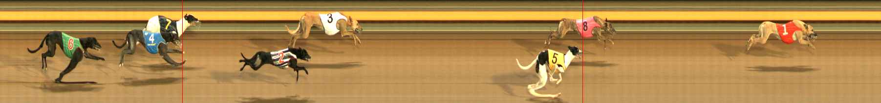 Photo finish for Ballarat Race 12