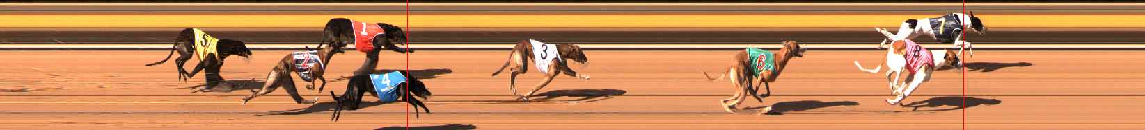 Photo finish for Ballarat Race 11