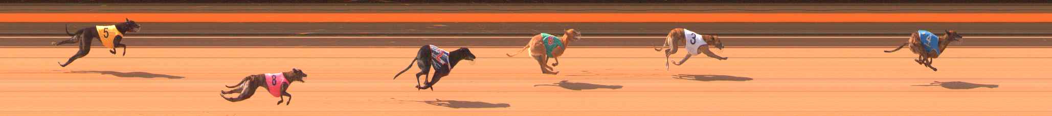 Photo finish for Ballarat Race 3