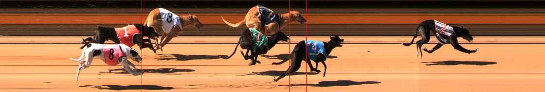 Photo finish for Ballarat Race 6