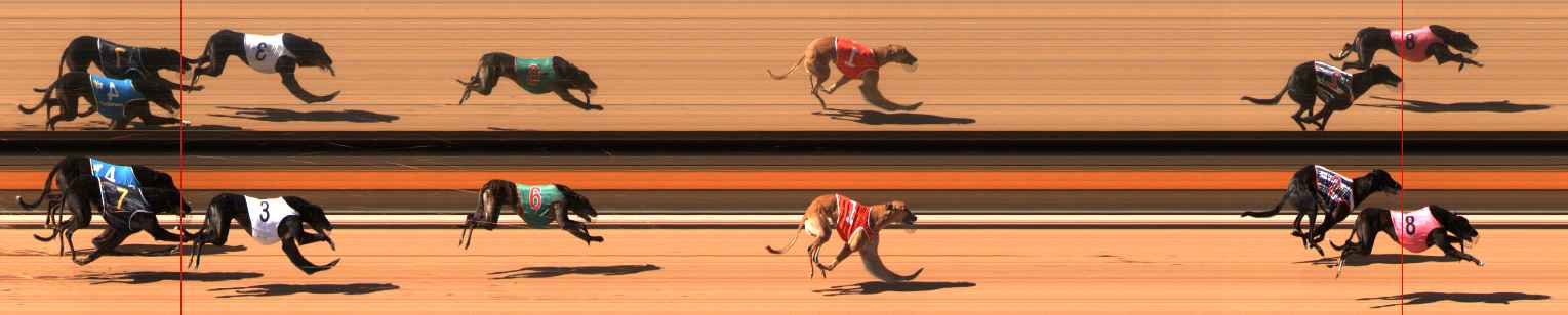 Photo finish for Ballarat Race 8