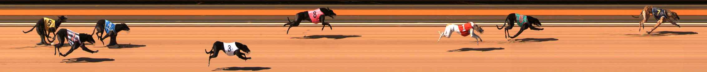 Photo finish for Ballarat Race 9