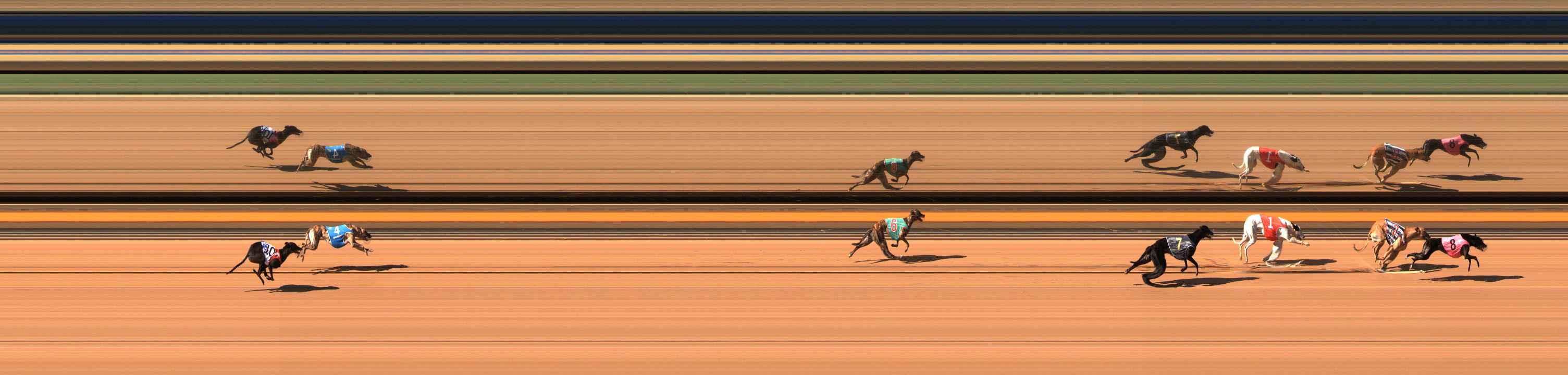Photo finish for Ballarat Race 10
