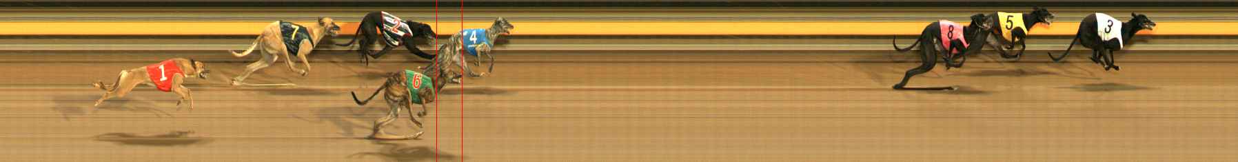 Photo finish for Ballarat Race 5