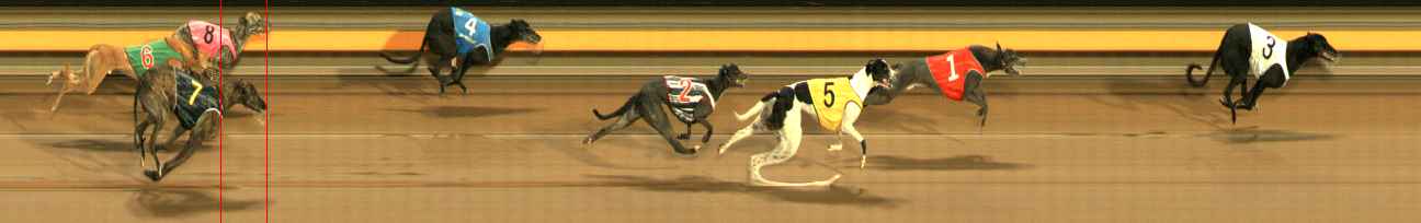 Photo finish for Ballarat Race 11