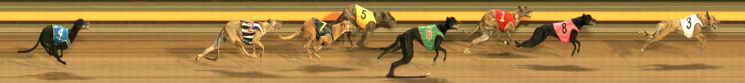 Photo finish for Ballarat Race 12