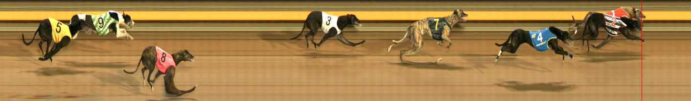 Photo finish for Ballarat Race 13