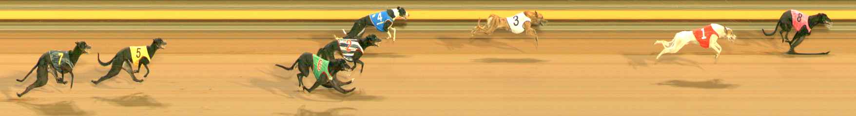 Photo finish for Ballarat Race 2