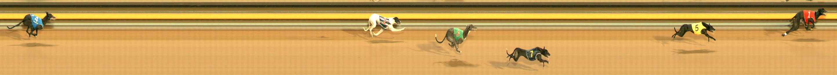 Photo finish for Ballarat Race 3