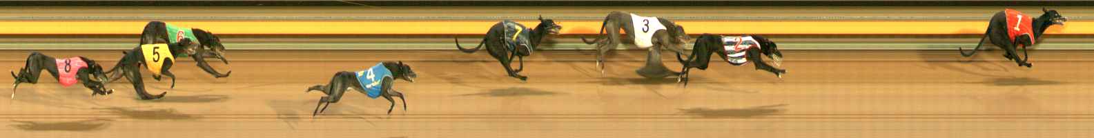 Photo finish for Ballarat Race 8