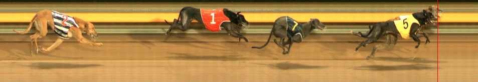 Photo finish for Ballarat Race 9