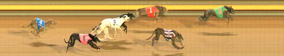 Photo finish for Ballarat Race 10