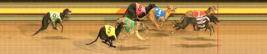 Photo finish for Ballarat Race 11
