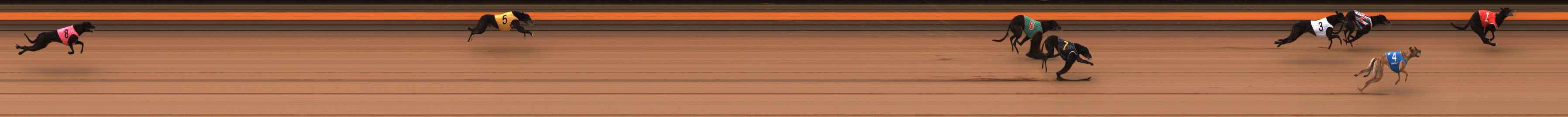 Photo finish for Ballarat Race 3