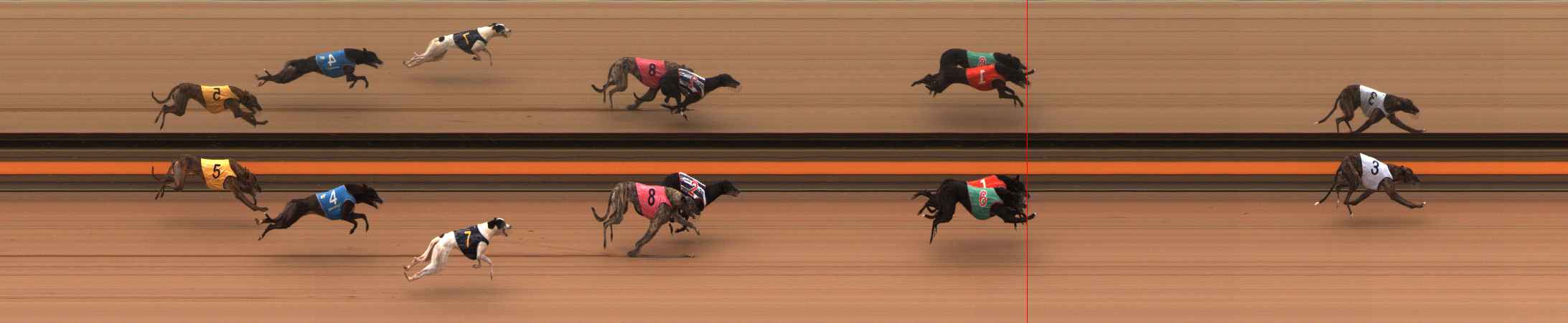 Photo finish for Ballarat Race 6
