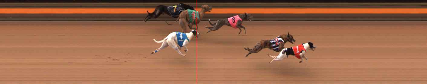 Photo finish for Ballarat Race 7