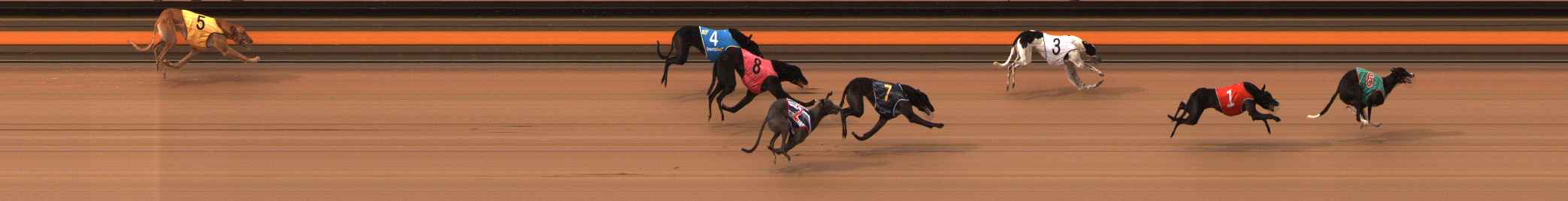 Photo finish for Ballarat Race 10