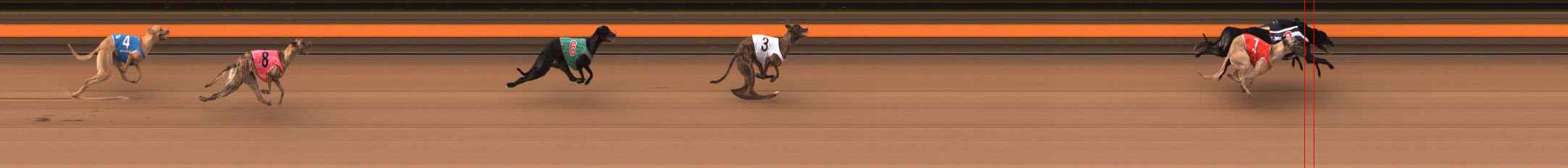 Photo finish for Ballarat Race 12