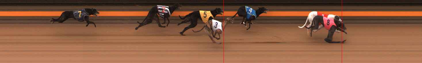 Photo finish for Ballarat Race 13