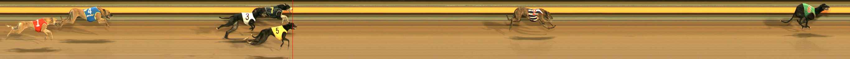 Photo finish for Ballarat Race 5