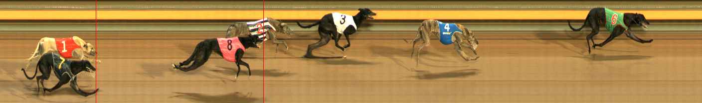 Photo finish for Ballarat Race 8