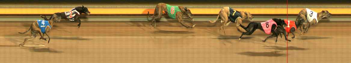 Photo finish for Ballarat Race 10