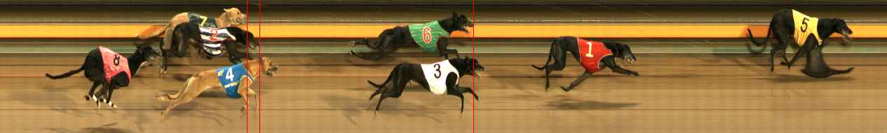Photo finish for Ballarat Race 12