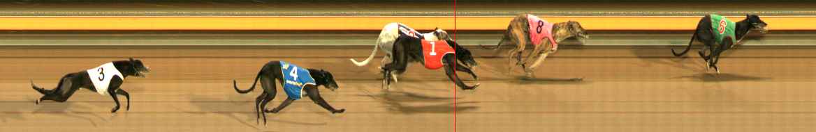 Photo finish for Ballarat Race 13