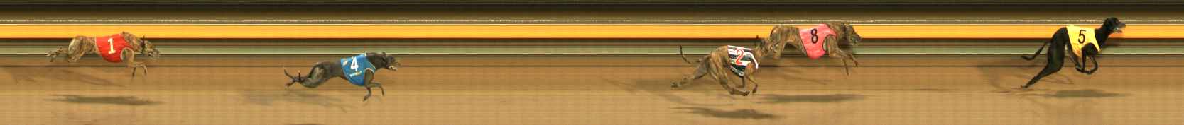 Photo finish for Ballarat Race 14