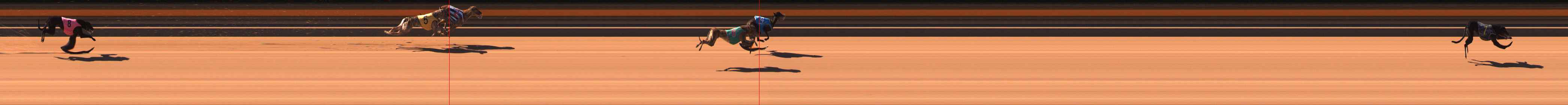 Photo finish for Ballarat Race 1