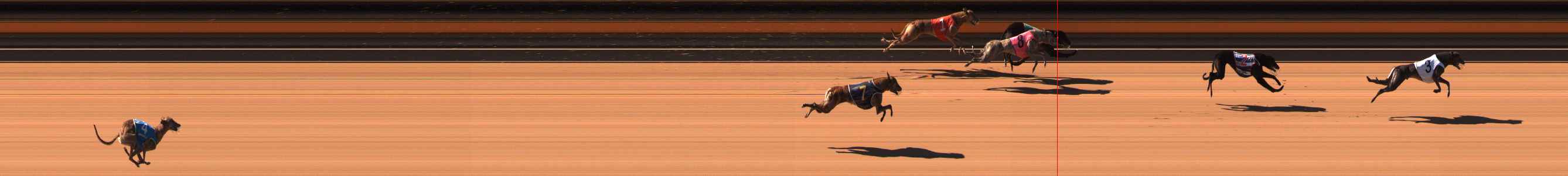 Photo finish for Ballarat Race 2