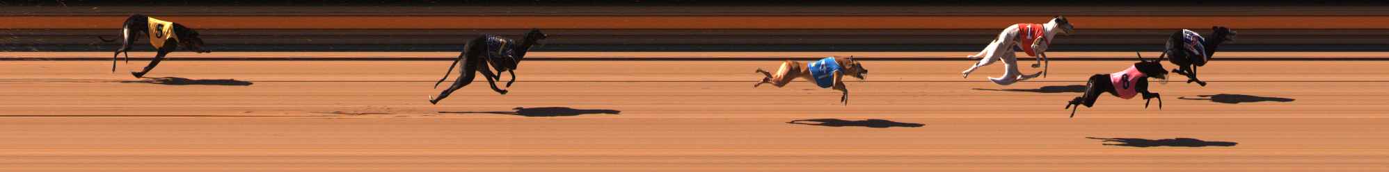 Photo finish for Ballarat Race 4