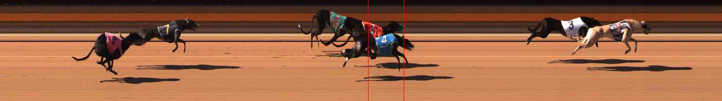 Photo finish for Ballarat Race 5