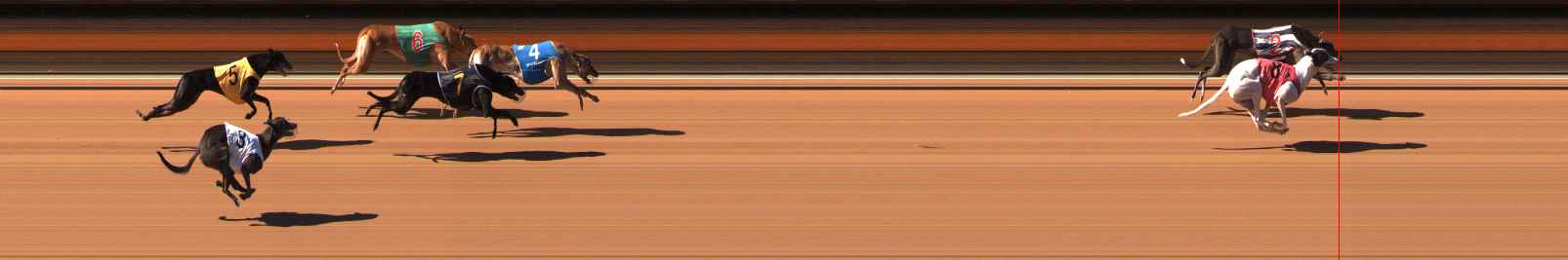 Photo finish for Ballarat Race 6
