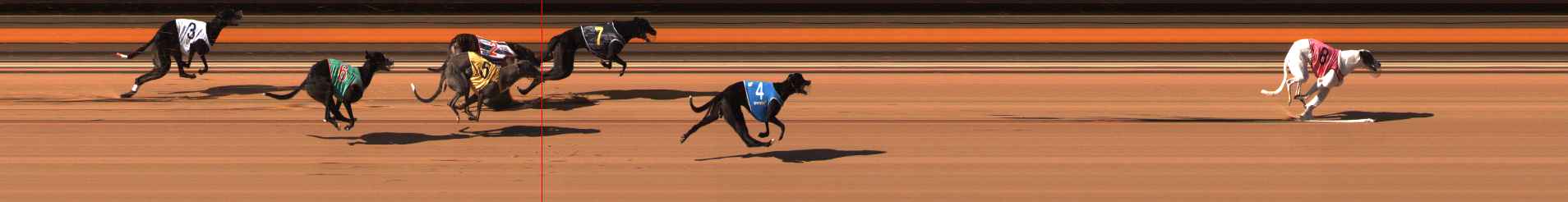 Photo finish for Ballarat Race 8