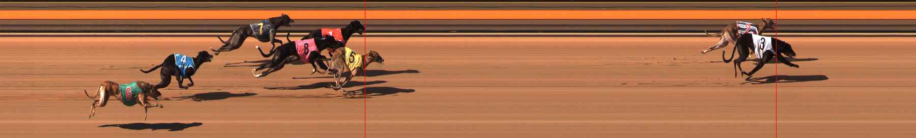 Photo finish for Ballarat Race 9
