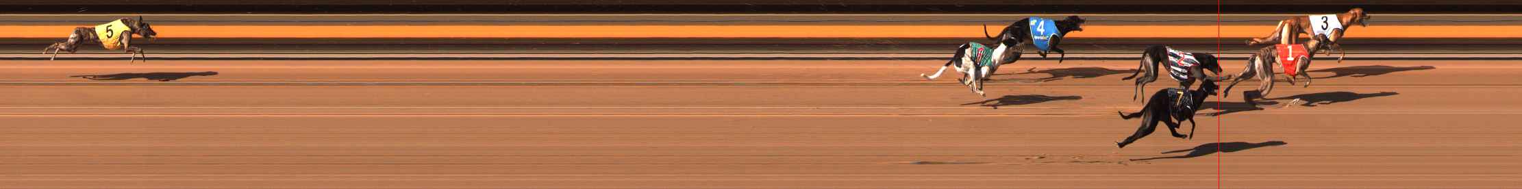 Photo finish for Ballarat Race 10