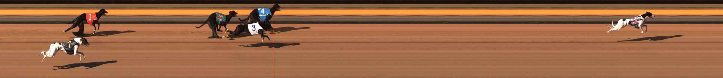 Photo finish for Ballarat Race 11