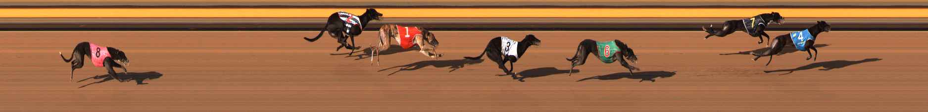 Photo finish for Ballarat Race 12