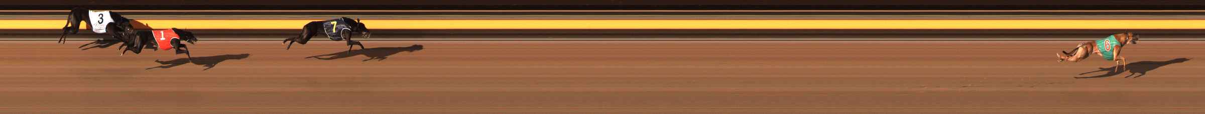 Photo finish for Ballarat Race 14
