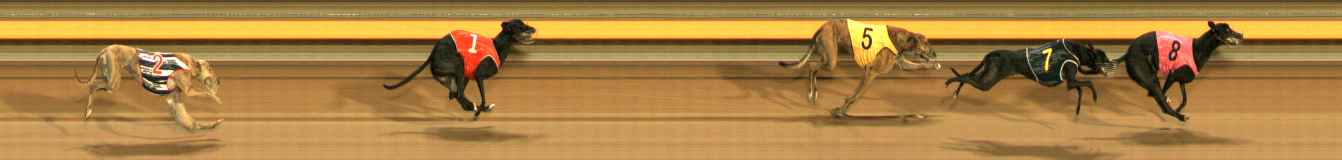 Photo finish for Ballarat Race 1