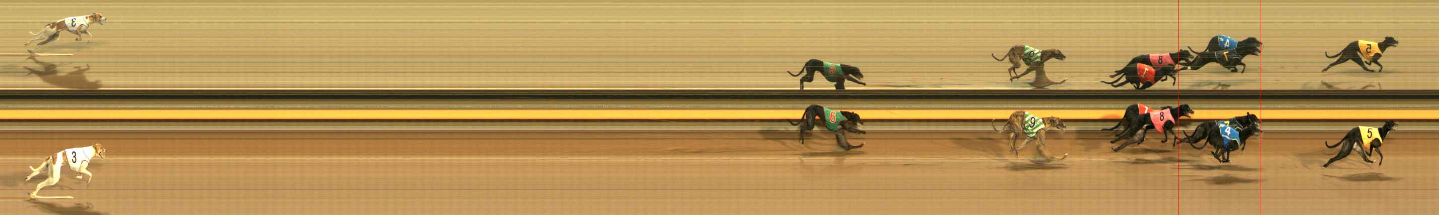 Photo finish for Ballarat Race 2