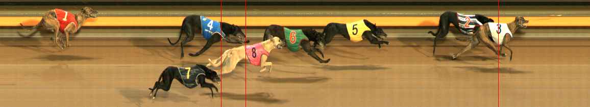 Photo finish for Ballarat Race 10