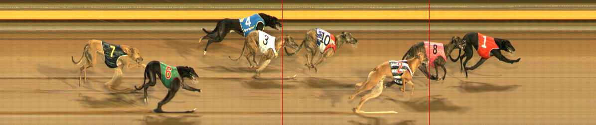 Photo finish for Ballarat Race 13