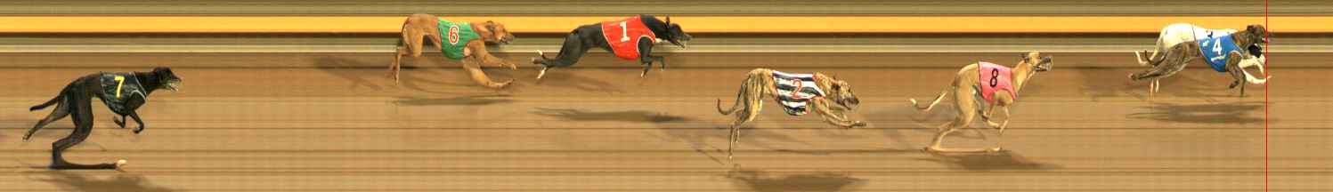 Photo finish for Ballarat Race 2