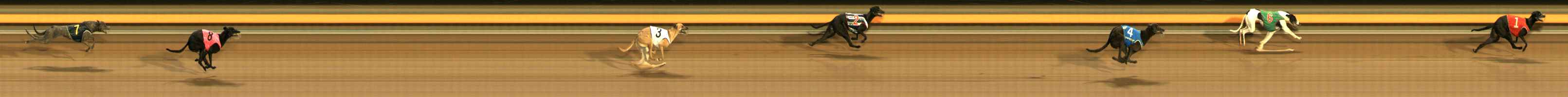 Photo finish for Ballarat Race 3